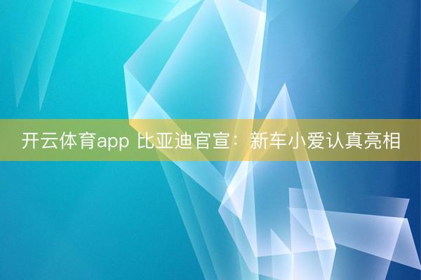 开云体育app 比亚迪官宣：新车小爱认真亮相