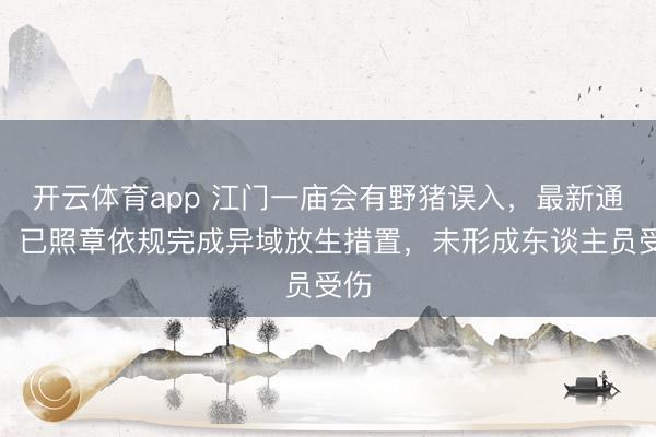 开云体育app 江门一庙会有野猪误入，最新通报：已照章依规完成异域放生措置，未形成东谈主员受伤