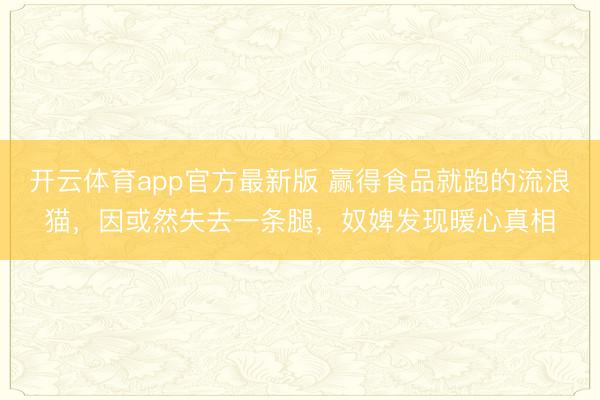 开云体育app官方最新版 赢得食品就跑的流浪猫，因或然失去一条腿，奴婢发现暖心真相