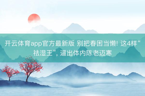 开云体育app官方最新版 别把春困当懒! 这4样“祛湿王”, 逼出体内陈老迈寒