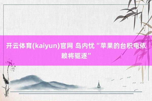 开云体育(kaiyun)官网 岛内忧“苹果的台积电依赖将驱逐”