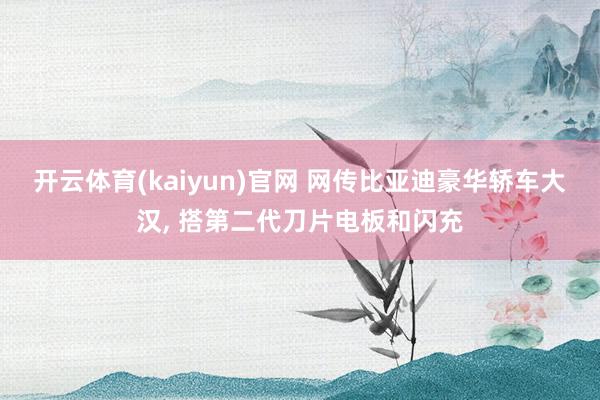 开云体育(kaiyun)官网 网传比亚迪豪华轿车大汉， 搭第二代刀片电板和闪充