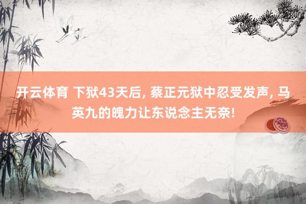 开云体育 下狱43天后, 蔡正元狱中忍受发声, 马英九的魄力让东说念主无奈!