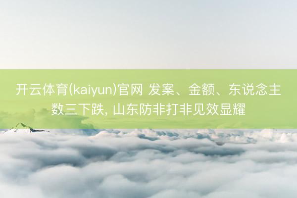 开云体育(kaiyun)官网 发案、金额、东说念主数三下跌, 山东防非打非见效显耀