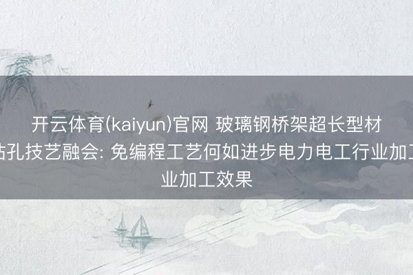 开云体育(kaiyun)官网 玻璃钢桥架超长型材多头钻孔技艺融会: 免编程工艺何如进步电力电工行业加工效果