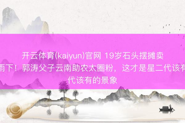 开云体育(kaiyun)官网 19岁石头摆摊卖货汗如雨下！郭涛父子云南助农太圈粉，这才是星二代该有的景象