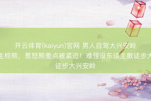 开云体育(kaiyun)官网 男人自驾大兴安岭遇到野生棕熊，惹怒熊差点被紧迫！难怪没东谈主敢徒步大兴安岭