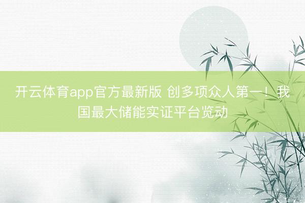 开云体育app官方最新版 创多项众人第一！我国最大储能实证平台览动